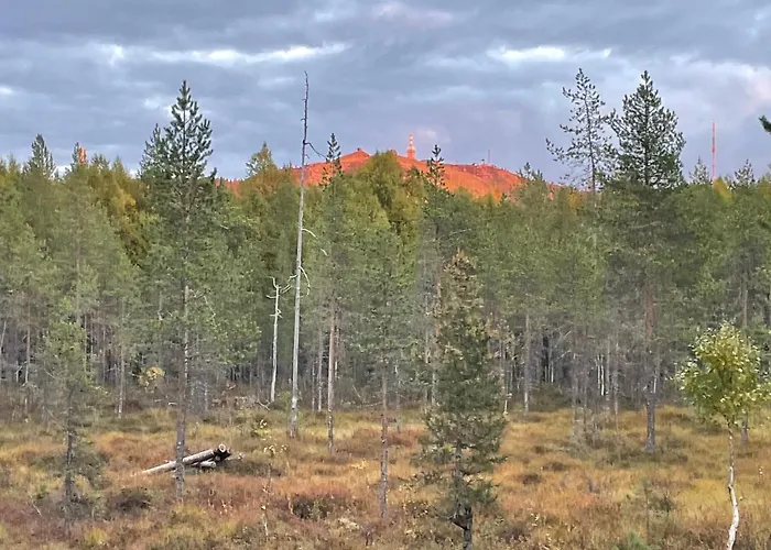 Villa Joenpolku Ruka