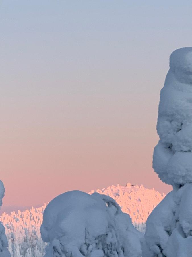 Joenpolku Вилла *