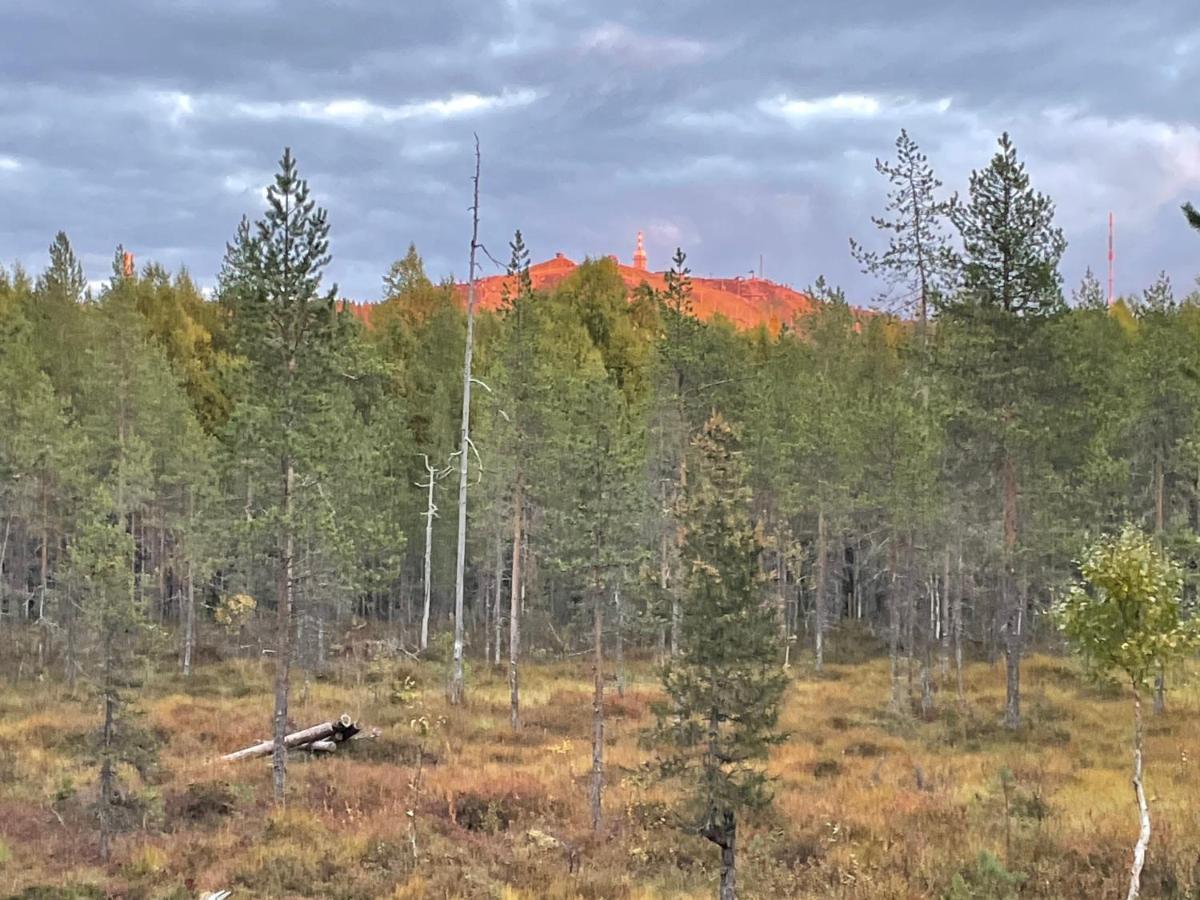 Вилла Joenpolku Рука